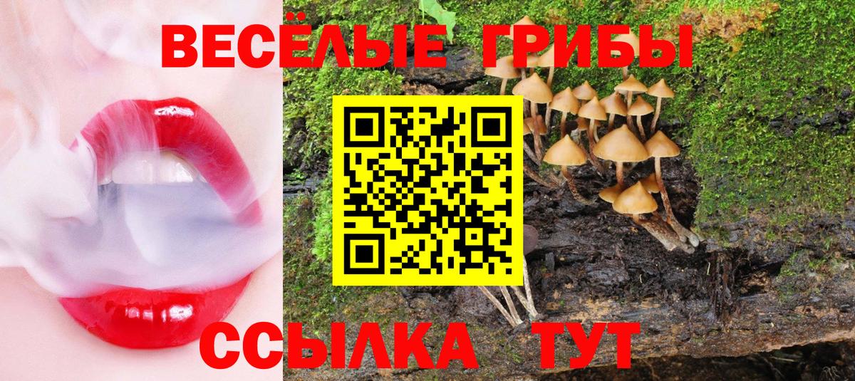 Галлюциногенные грибы Psilocybe  Галлюциногенные грибы MAGIC MUSHROOMS  Вход с VPN  Кимры 